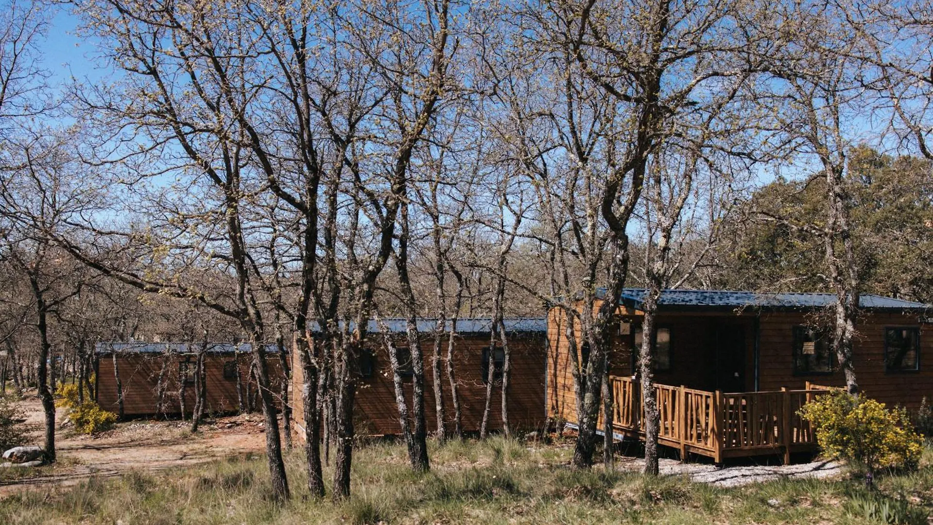 Campsite Camping Liberte Verdon Artignosc-sur-Verdon